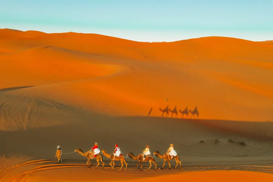 Caravana de camellos cruzando las dunas del Sáhara
