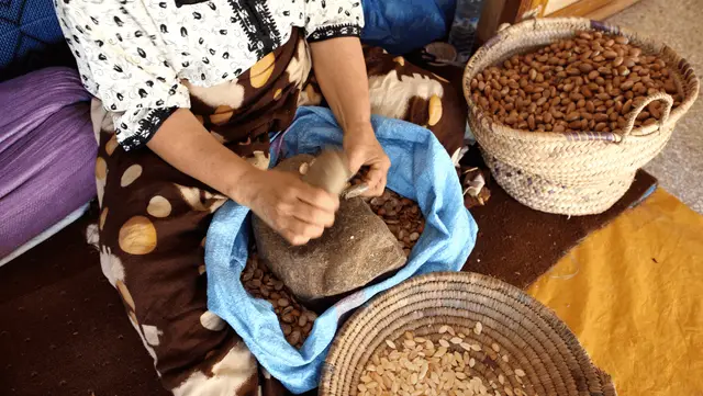 Excursión privada a Essaouira desde Marrakech – foto 3